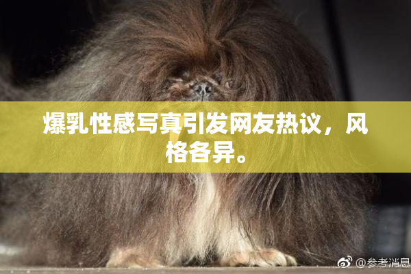 爆乳性感写真引发网友热议，风格各异。