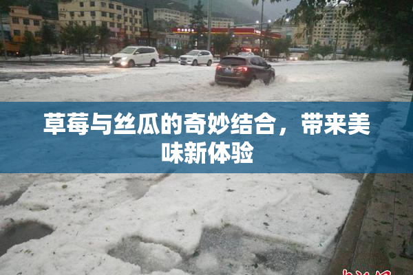 草莓与丝瓜的奇妙结合，带来美味新体验