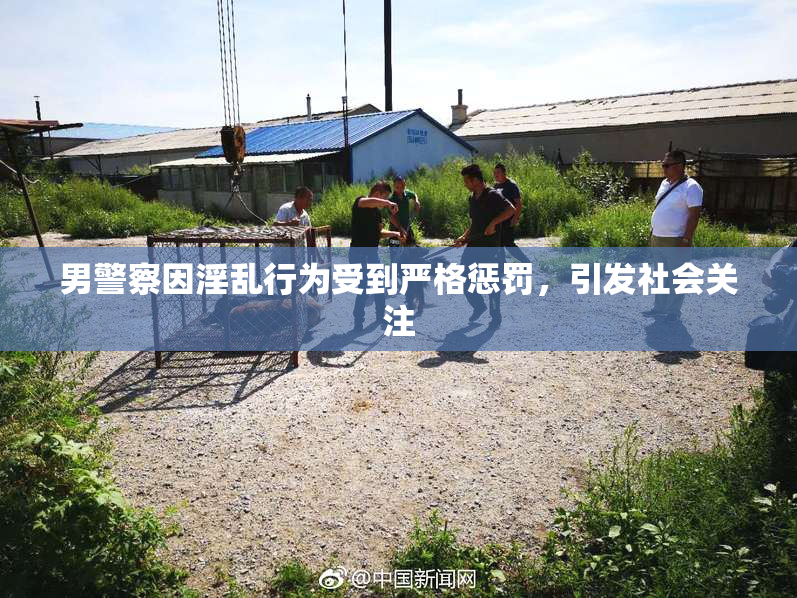 男警察因淫乱行为受到严格惩罚，引发社会关注