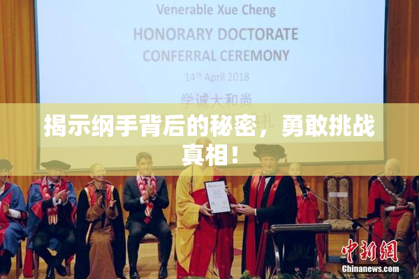 揭示纲手背后的秘密，勇敢挑战真相！