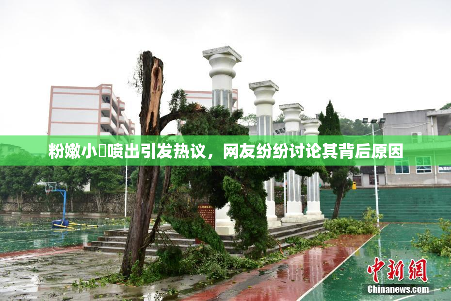粉嫩小泬喷出引发热议，网友纷纷讨论其背后原因