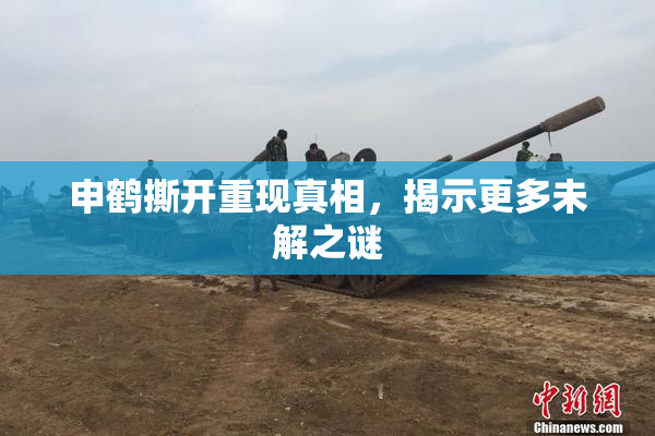 申鹤撕开重现真相，揭示更多未解之谜