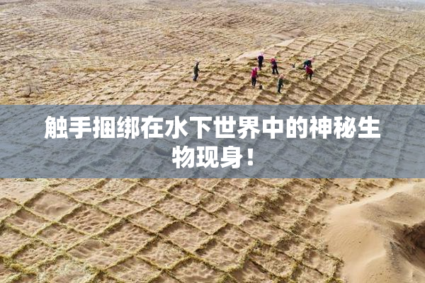 触手捆绑在水下世界中的神秘生物现身！