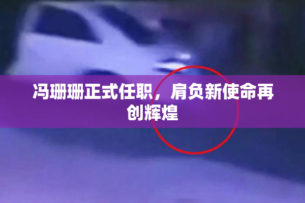 冯珊珊正式任职，肩负新使命再创辉煌