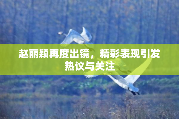 赵丽颖再度出镜，精彩表现引发热议与关注