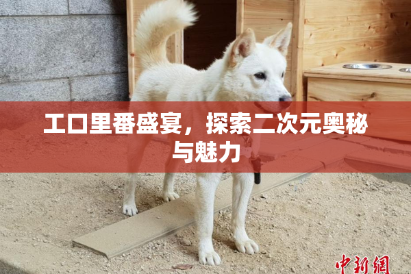 工口里番盛宴，探索二次元奥秘与魅力
