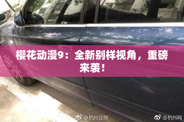 樱花动漫9：全新别样视角，重磅来袭！