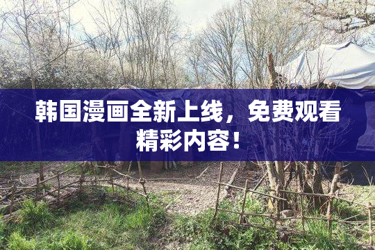 韩国漫画全新上线，免费观看精彩内容！