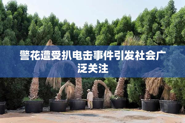 警花遭受扒电击事件引发社会广泛关注