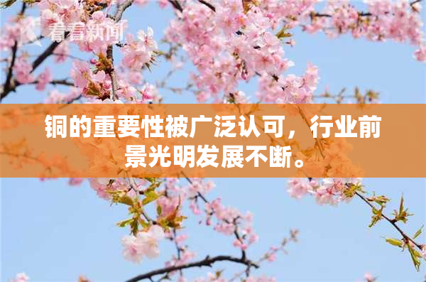 铜的重要性被广泛认可，行业前景光明发展不断。