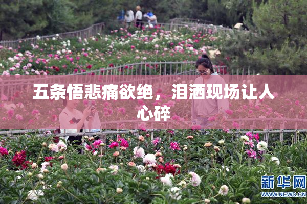 五条悟悲痛欲绝，泪洒现场让人心碎