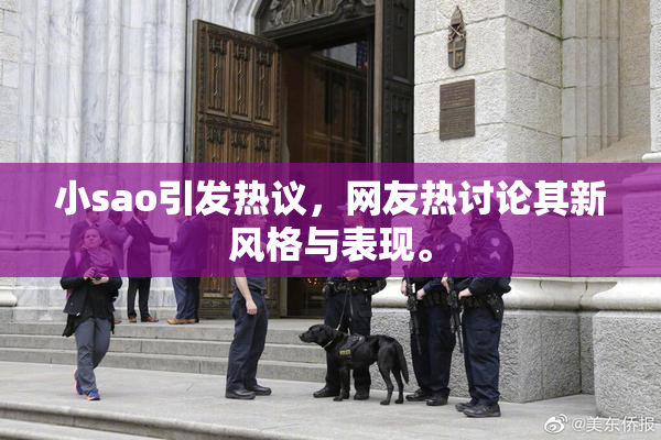 小sao引发热议，网友热讨论其新风格与表现。