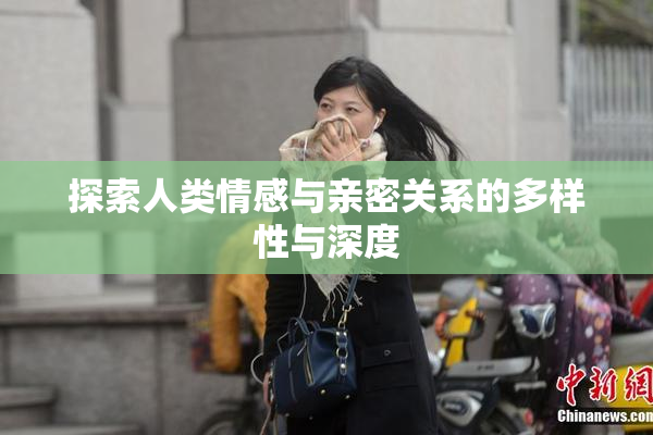 探索人类情感与亲密关系的多样性与深度