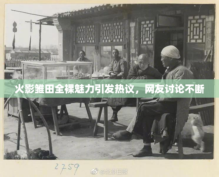 火影雏田全裸魅力引发热议，网友讨论不断