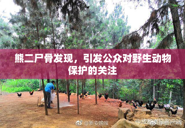 熊二尸骨发现，引发公众对野生动物保护的关注