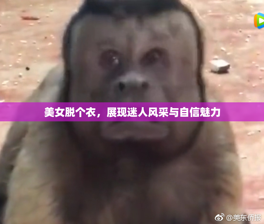 美女脱个衣，展现迷人风采与自信魅力