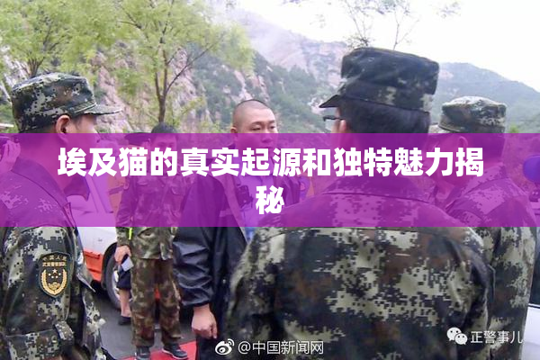 埃及猫的真实起源和独特魅力揭秘