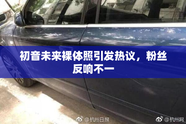 初音未来裸体照引发热议，粉丝反响不一