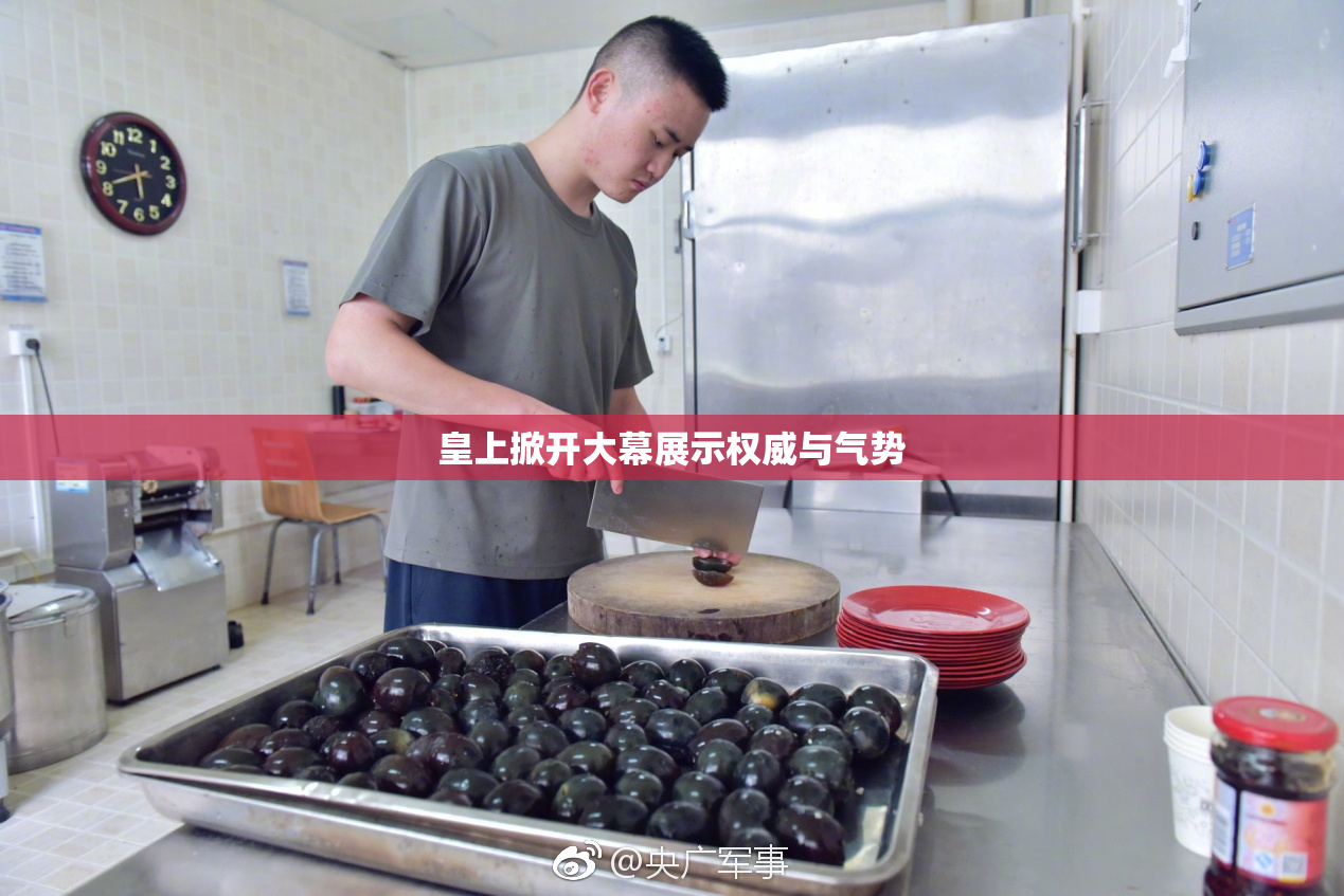 皇上掀开大幕展示权威与气势