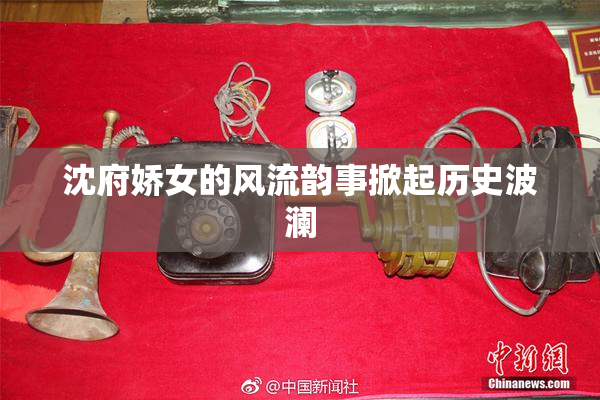 沈府娇女的风流韵事掀起历史波澜