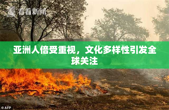 亚洲人倍受重视，文化多样性引发全球关注