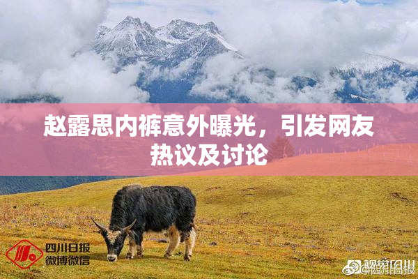 赵露思内裤意外曝光，引发网友热议及讨论
