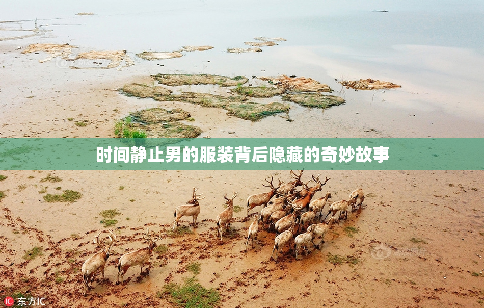 时间静止男的服装背后隐藏的奇妙故事