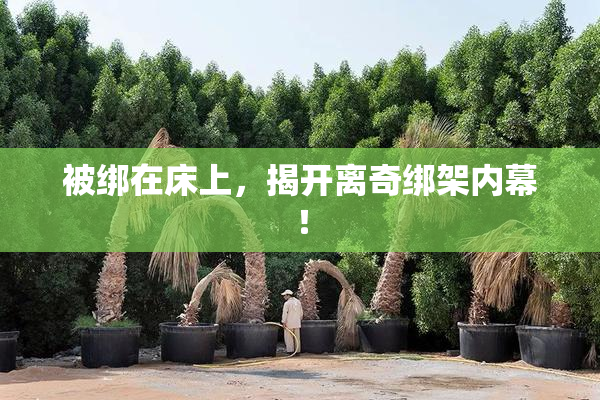 被绑在床上，揭开离奇绑架内幕！