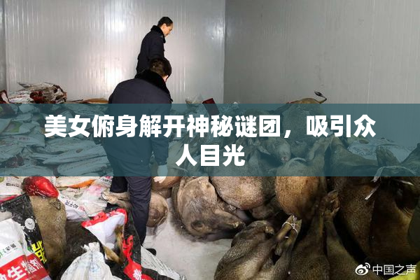 美女俯身解开神秘谜团，吸引众人目光