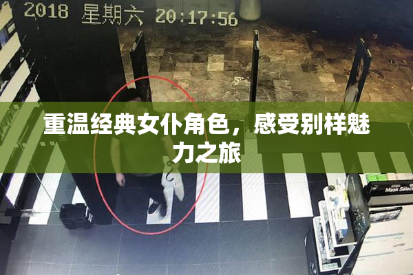 重温经典女仆角色，感受别样魅力之旅