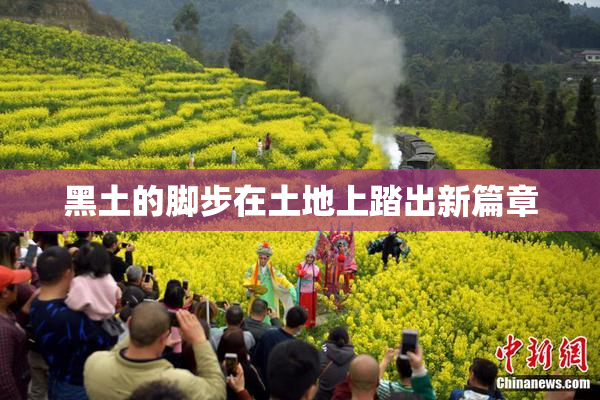黑土的脚步在土地上踏出新篇章