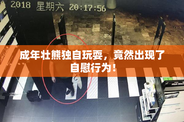 成年壮熊独自玩耍，竟然出现了自慰行为！