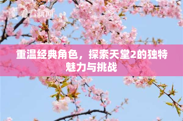 重温经典角色，探索天堂2的独特魅力与挑战
