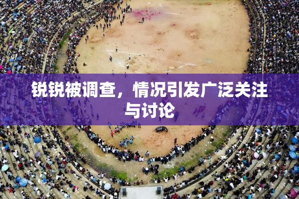 锐锐被调查，情况引发广泛关注与讨论