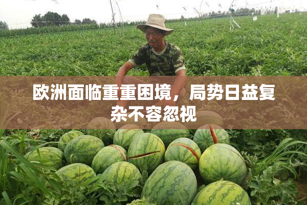 欧洲面临重重困境，局势日益复杂不容忽视