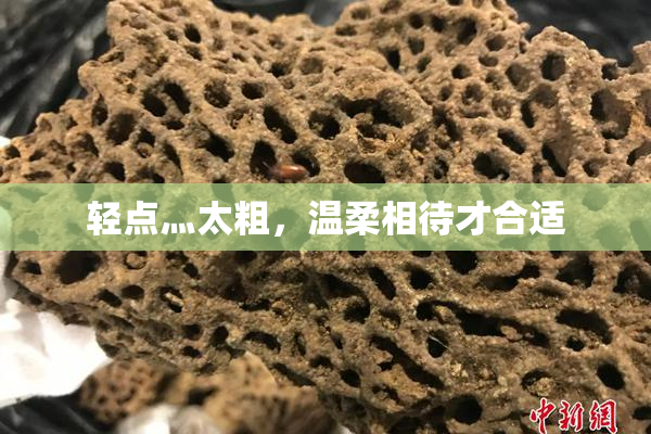 轻点灬太粗，温柔相待才合适