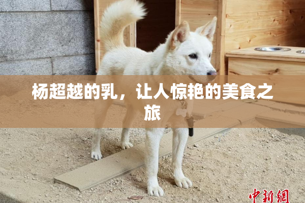 杨超越的乳，让人惊艳的美食之旅