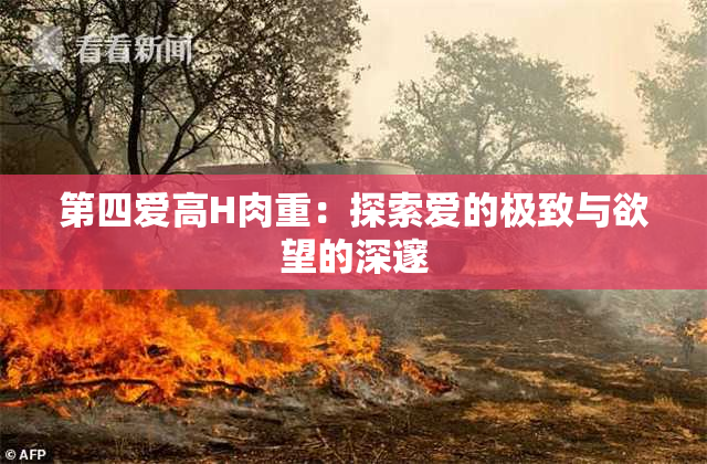 第四爱高H肉重：探索爱的极致与欲望的深邃