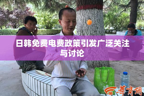日韩免费电费政策引发广泛关注与讨论