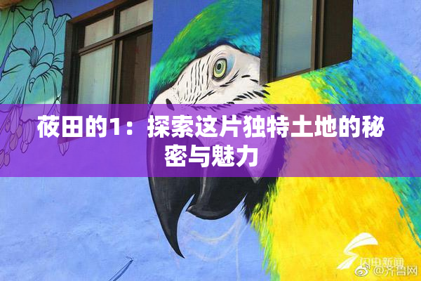 莜田的1：探索这片独特土地的秘密与魅力