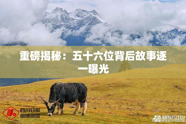 重磅揭秘：五十六位背后故事逐一曝光