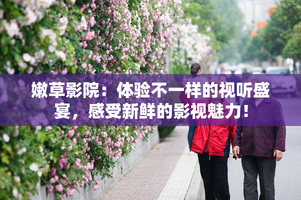 嫩草影院：体验不一样的视听盛宴，感受新鲜的影视魅力！