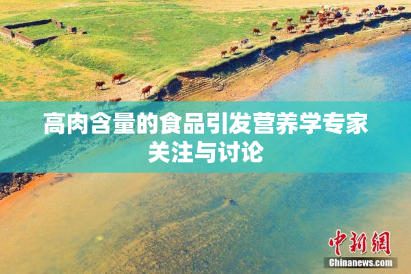 高肉含量的食品引发营养学专家关注与讨论
