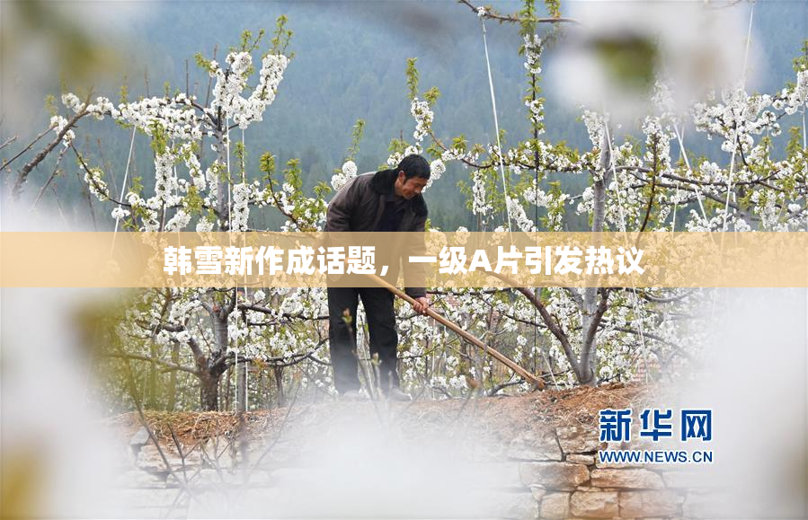 韩雪新作成话题，一级A片引发热议