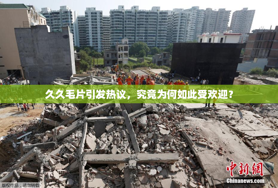 久久毛片引发热议，究竟为何如此受欢迎？
