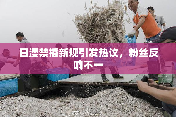 日漫禁播新规引发热议，粉丝反响不一