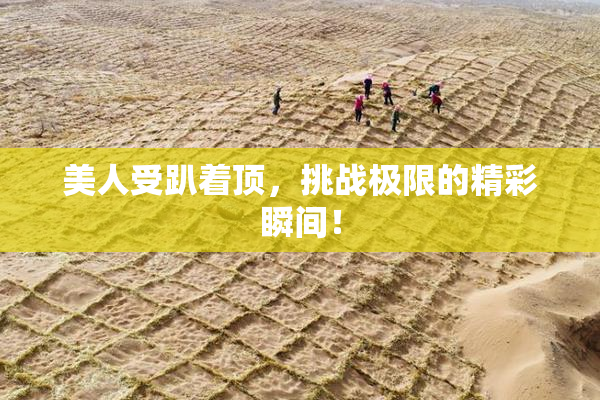 美人受趴着顶，挑战极限的精彩瞬间！