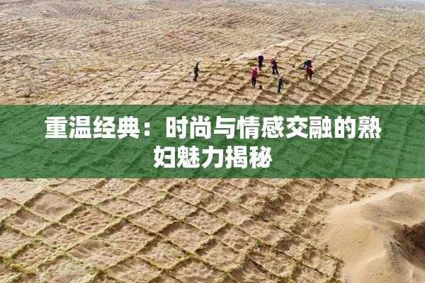 重温经典：时尚与情感交融的熟妇魅力揭秘