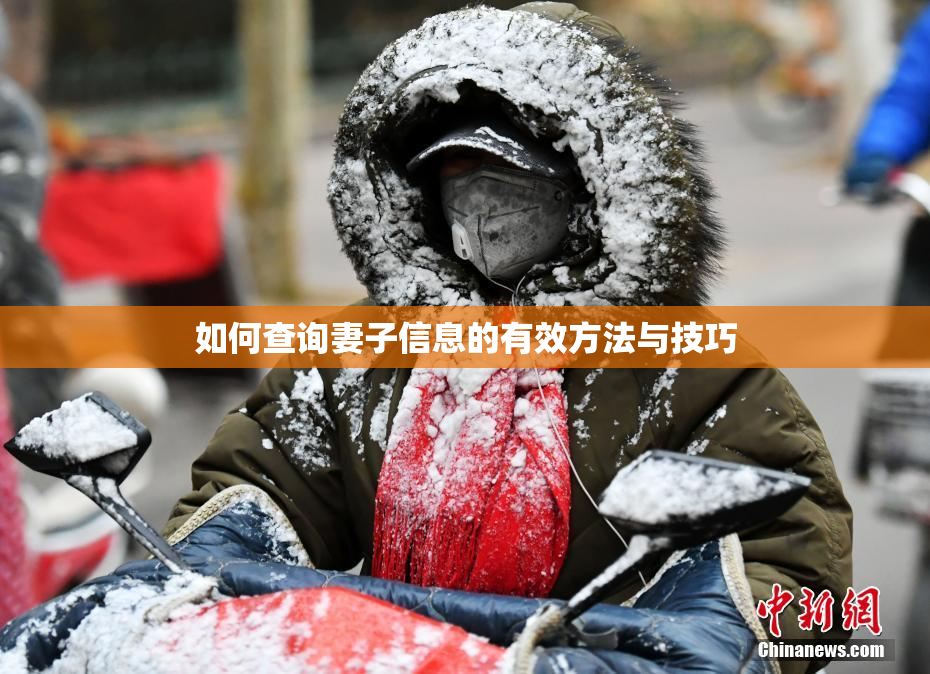 如何查询妻子信息的有效方法与技巧