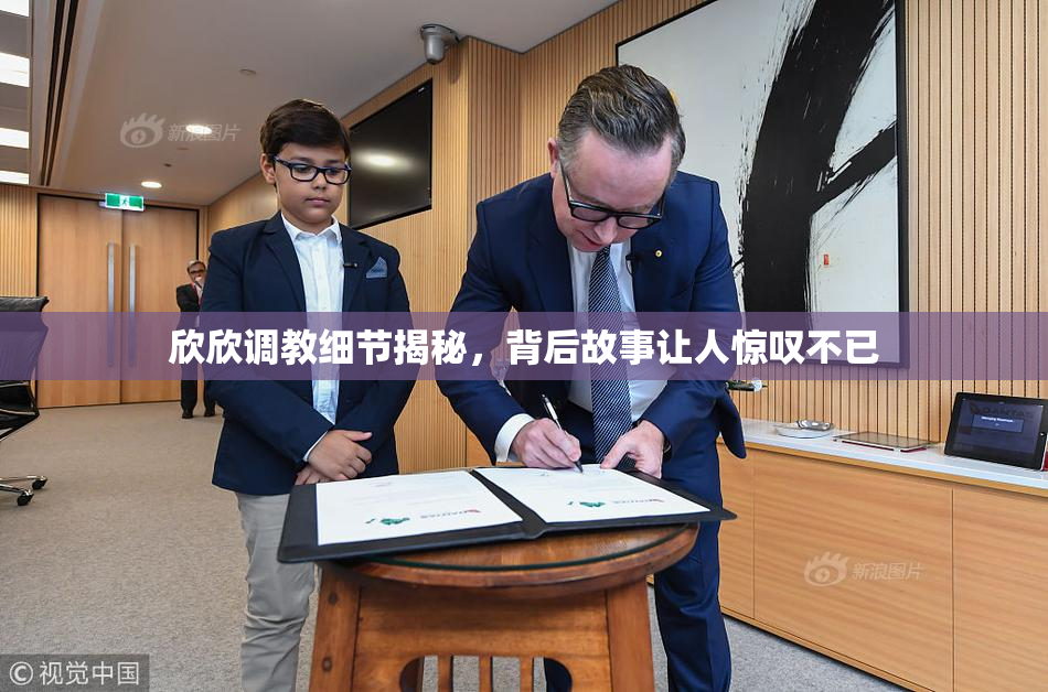 欣欣调教细节揭秘，背后故事让人惊叹不已